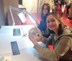 Powiększ zdjęcie Uczniowie podczas oglądania eksponatów na wystawie