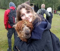 Powiększ zdjęcie przytulasy z alpakami