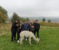 Powiększ zdjęcie spacer z alpakami