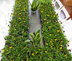 Powiększ zdjęcie Pozyskane%20kwiaty%20za%20elektrośmieci