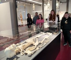 Powiększ zdjęcie Uczniowie podczas oglądania eksponatów na wystawie