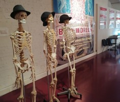 Powiększ zdjęcie Szkielety ludzkie wykonane w Plastinarium