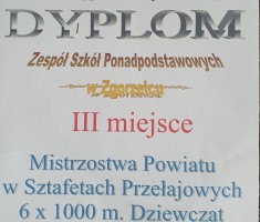 Przejdź do - Brązowe medale sztafet przełajowych