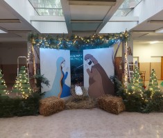 Przejdź do - Dekoracja Bożonarodzeniowa