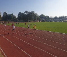 Powiększ zdjęcie Końcówka jednego z biegów