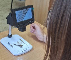 Powiększ zdjęcie zdjęcie sadu i pracowni sadownictwa