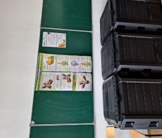 Powiększ zdjęcie zdjęcie sadu i pracowni sadownictwa