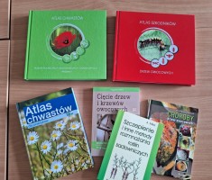 Powiększ zdjęcie zdjęcie sadu i pracowni sadownictwa