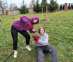 Powiększ zdjęcie zdjęcie sadu i pracowni sadownictwa