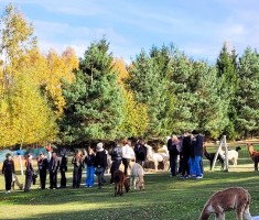 Powiększ zdjęcie Gra terenowa