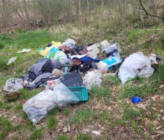 Powiększ zdjęcie EKOLOGICZNIE W NASZEJ SZKOLE