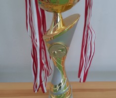 Przejdź do - Mistrzostwa Powiatu w koszykówce 3x3 dziewcząt i chłopców - Igrzyska Dzieci 