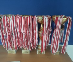 Przejdź do - ZAWODY KLAS I - IV - IGRZYSKA DZIECI – MISTRZOSTWA POWIATU