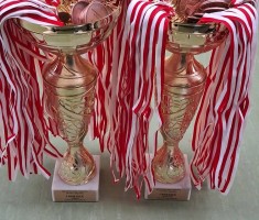 Przejdź do - Mistrzostwa Powiatu w piłce ręcznej dziewcząt I chłopców - IDZ