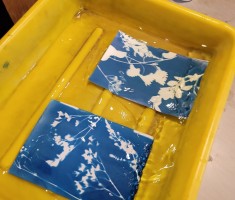 Powiększ zdjęcie Cyjanotypia-warsztaty fotograficzne