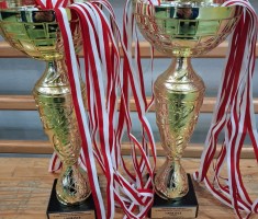 Przejdź do - Mistrzostwa Powiatu w Tenisie Stołowym - IDZ.