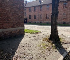 Powiększ zdjęcie Uczniowie podczas zwiedzania obozu Auschwitz