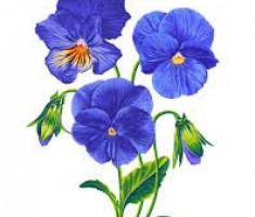 Przejdź do - Przynieś elektrośmieci, a szkoła zakwitnie wiosną