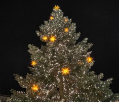 Powiększ zdjęcie Jarmark Bożonarodzeniowy - choinka