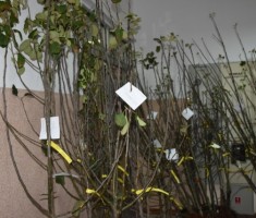 Powiększ zdjęcie zdjęcie z finału projektu 