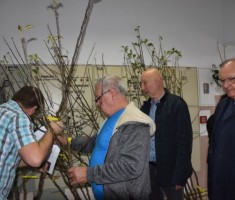 Powiększ zdjęcie zdjęcie z finału projektu 