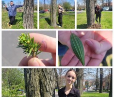 Powiększ zdjęcie Dzień Ziemi CEO