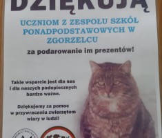 Powiększ zdjęcie 