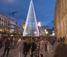 Powiększ zdjęcie Wieczorny spacer po Sewilli