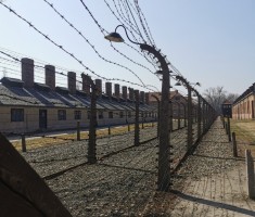 Powiększ zdjęcie muzeum Auschwitz 