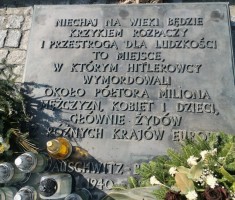 Powiększ zdjęcie muzeum Birkenau