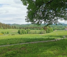 Powiększ zdjęcie otoczenie hostelu