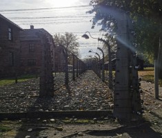 Powiększ zdjęcie Muzeum Auschwitz 