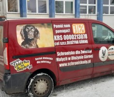 Przejdź do - Podsumowanie akcji "Psu na budę"