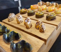 Powiększ zdjęcie Praliny