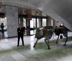 Powiększ zdjęcie Uczeń Rafał Kieresiński