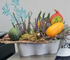 Powiększ zdjęcie Jesienne stroiki