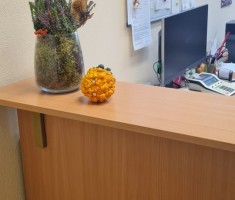 Powiększ zdjęcie Jesienne stroiki