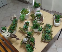 Powiększ zdjęcie Stroiki wiosenne