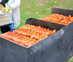 Powiększ zdjęcie Coś na ząb