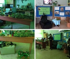 Powiększ zdjęcie Dekoracje oraz powitanie uczestników przez nauczycielkę j.angielskiego