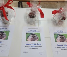 Powiększ zdjęcie Nagrody