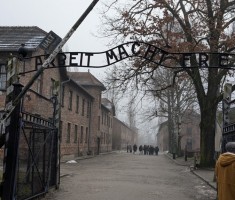 Powiększ zdjęcie Muzeum Auschwitz-Birkenau