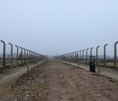 Powiększ zdjęcie Muzeum Auschwitz-Birkenau