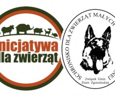 Przejdź do - Psu na budę!