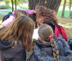 Przejdź do - Drzewa - pomniki przyrody