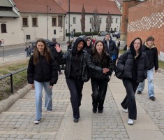 Powiększ zdjęcie W drodze na Wawel