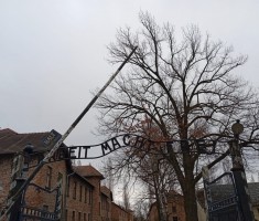 Powiększ zdjęcie Auschwitz-Birkenau