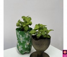 Powiększ zdjęcie Zdjęcia z wydarzenia Dzień Ziemi w Emilce