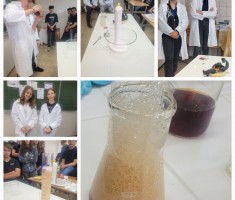 Powiększ zdjęcie Doświadczenia