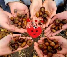 Powiększ zdjęcie Dzień Krajobrazu